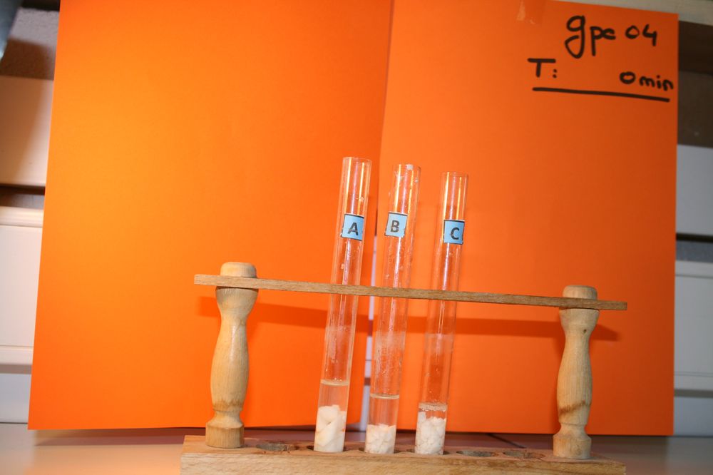 gal/LES_CINQUIEMES/ACTIVITE DIGESTION IN VITRO/Groupe_04/Groupe04_T_00h00min/Groupe04_T_00h_00min_14.JPG